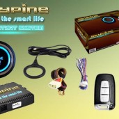 کیلس استارتر